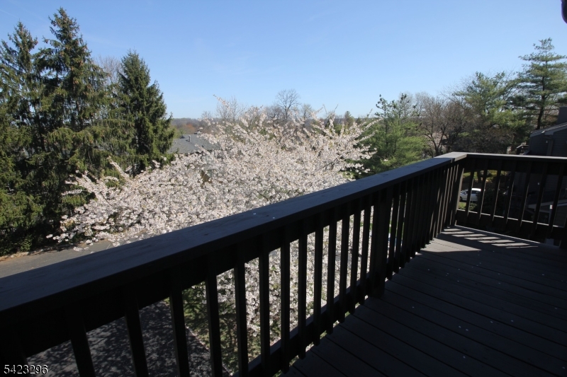 Montgomery Woods - Residential