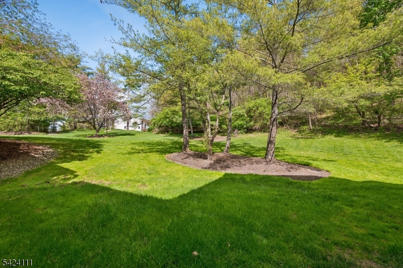 Pine Brook Village - Residential