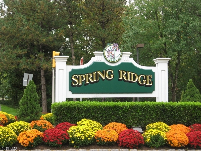 Spring Ridge - Residential Lease
