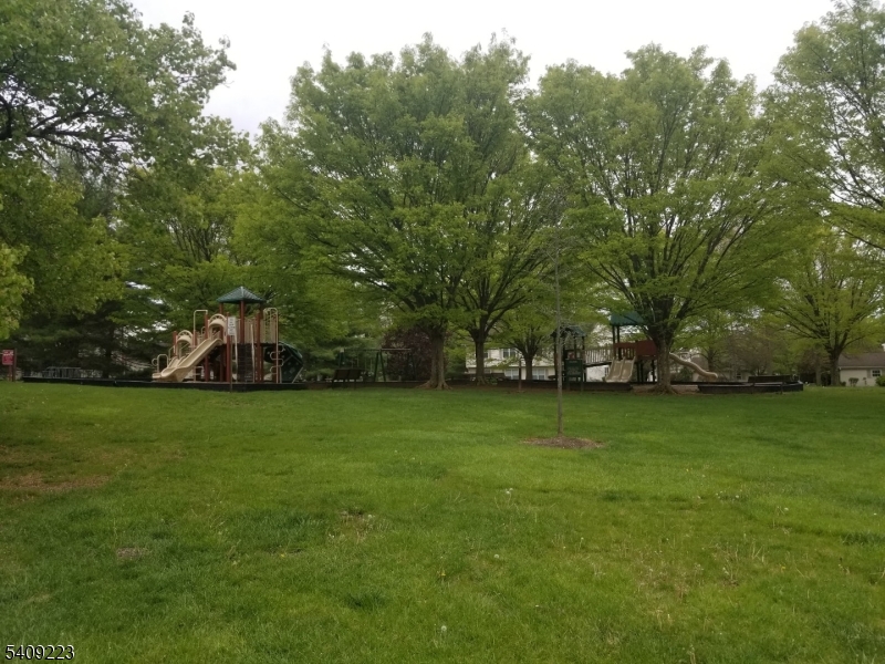 Spring Ridge - Residential Lease