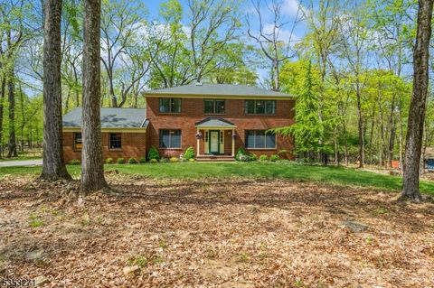 1006 Timber Ln Bridgewater Twp. NJ 08807