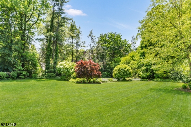 OLD SHORT HILLS - Residential