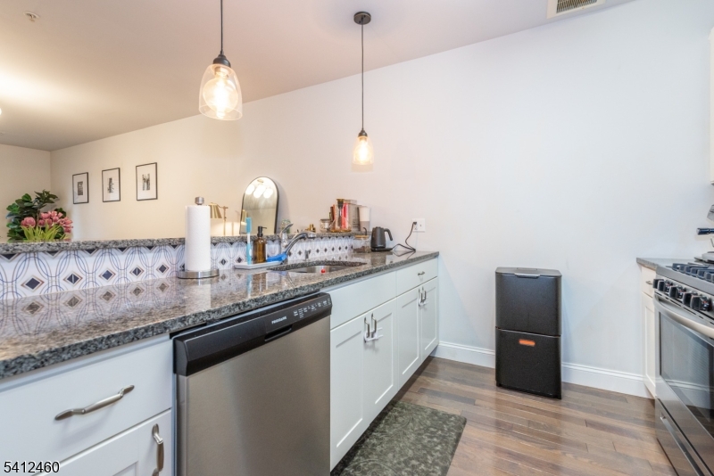 Lofts at Lincoln Park - Residential