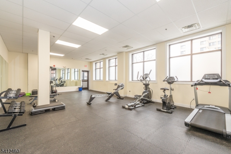 Lofts at Lincoln Park - Residential