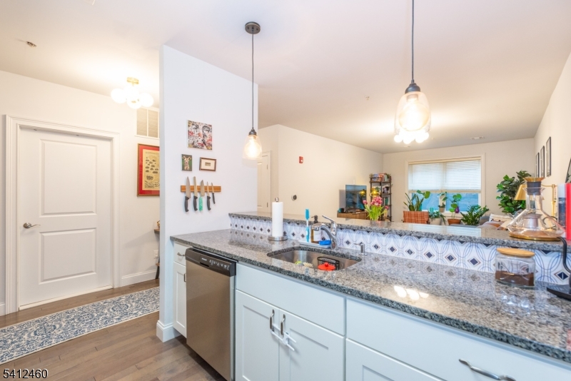 Lofts at Lincoln Park - Residential