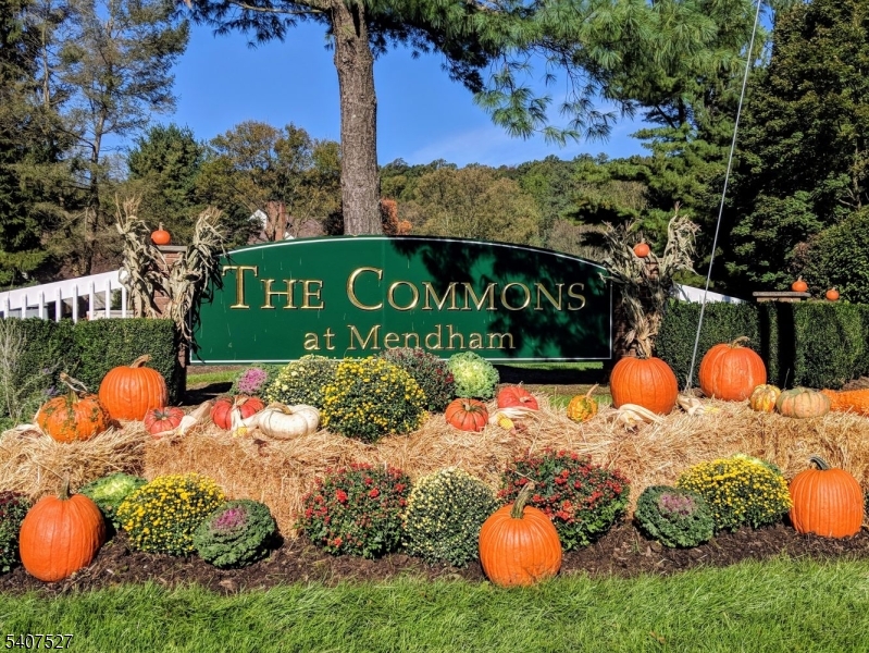 Mendham Commons - Residential