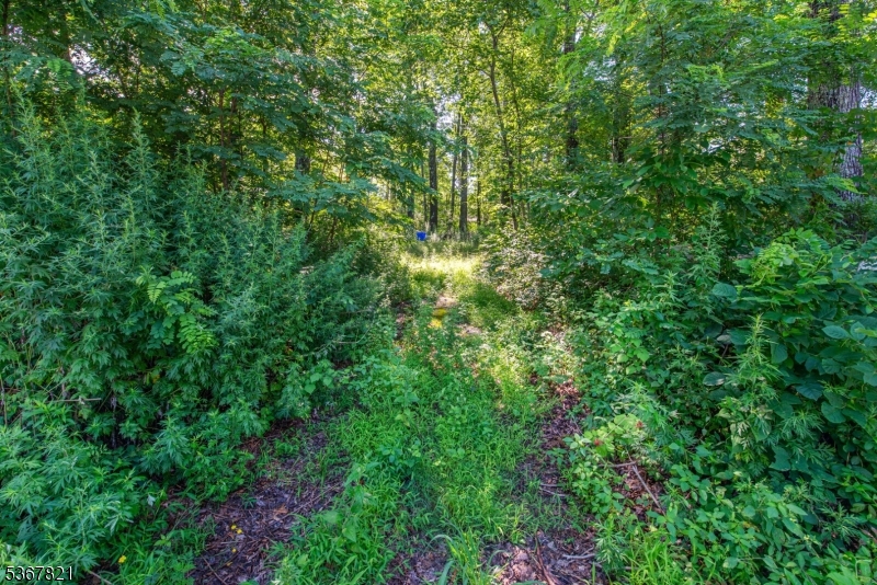 Culver Lake - Residential