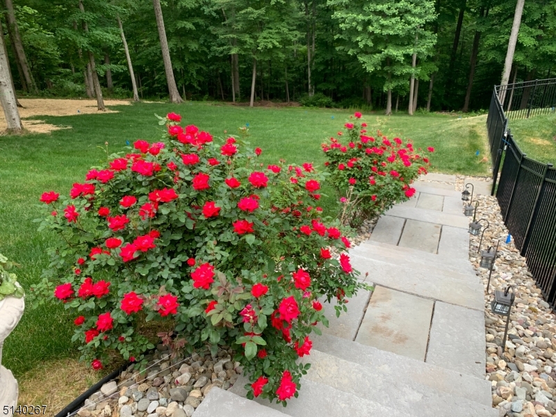 Charlotte Hill - Residential