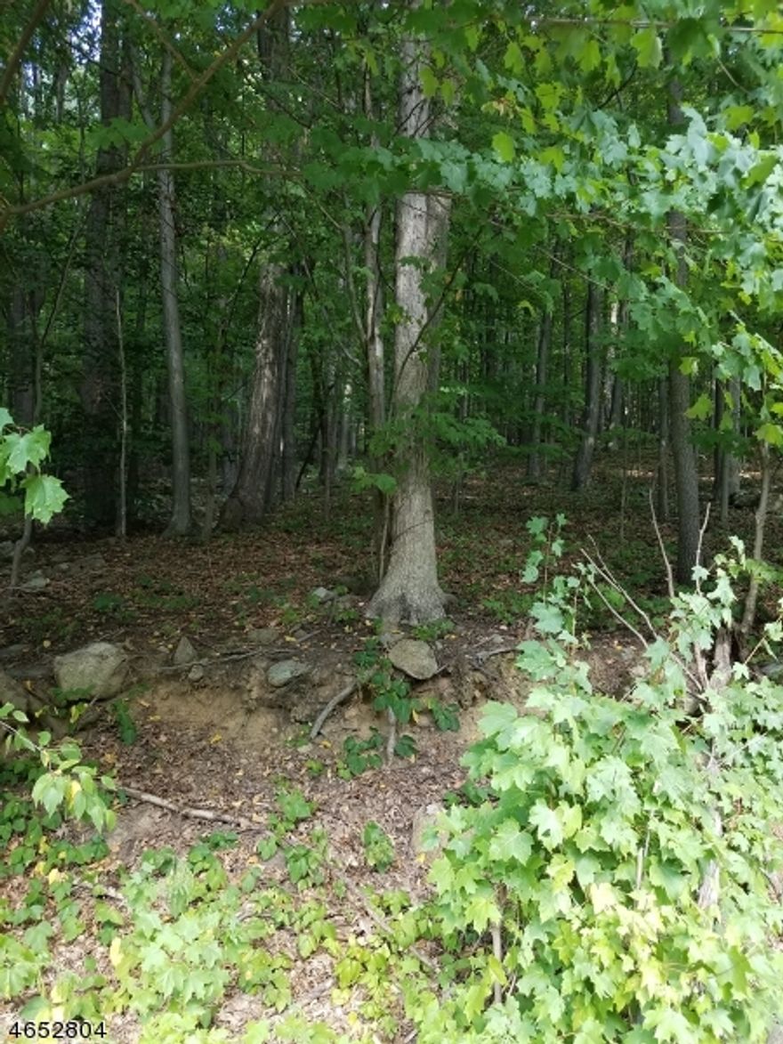 Billboard Leased Signage Income for 2025 is $11,500. Permitted Uses: Retail & Service business, Office, Banks & Restaurants. 15-25% Slope.