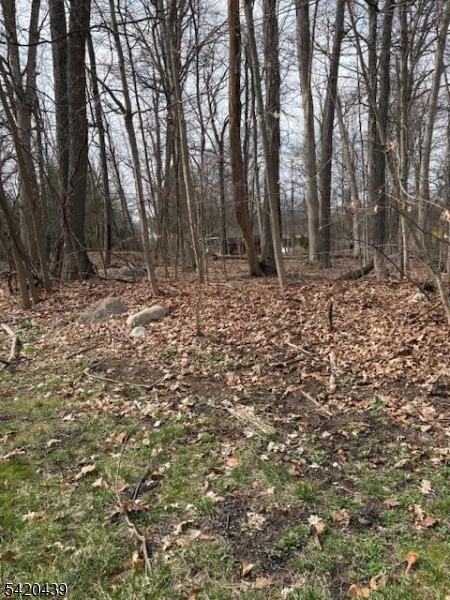 Evergreen Estates - Land