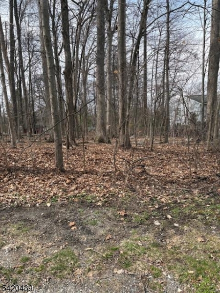 Evergreen Estates - Land