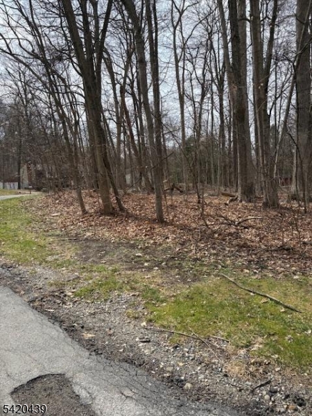 Evergreen Estates - Land