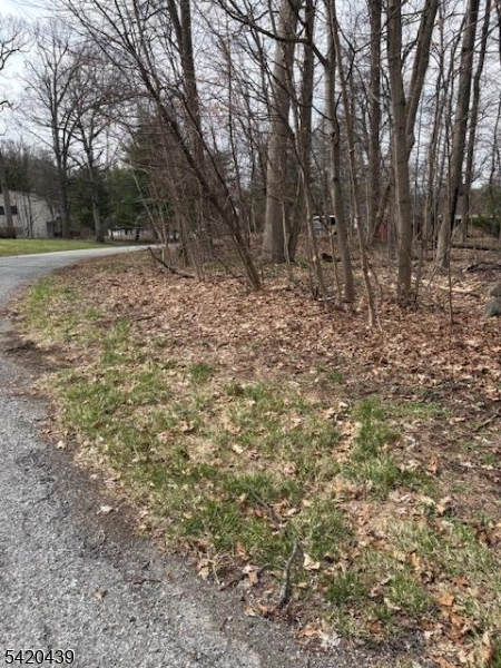 Evergreen Estates - Land