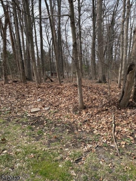 Evergreen Estates - Land