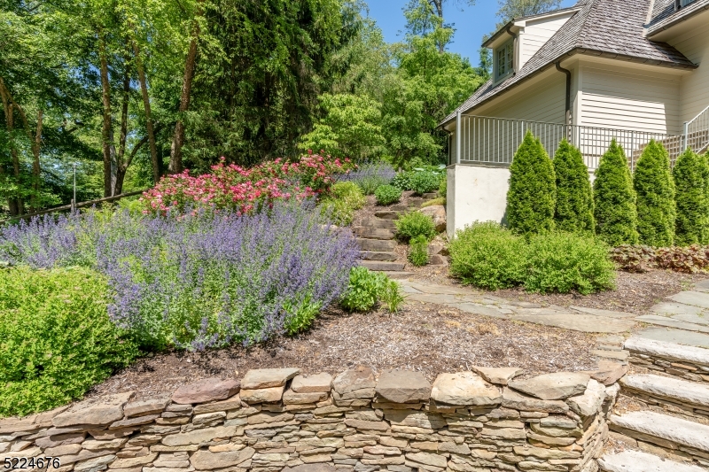 Bernardsville Mountain - Residential