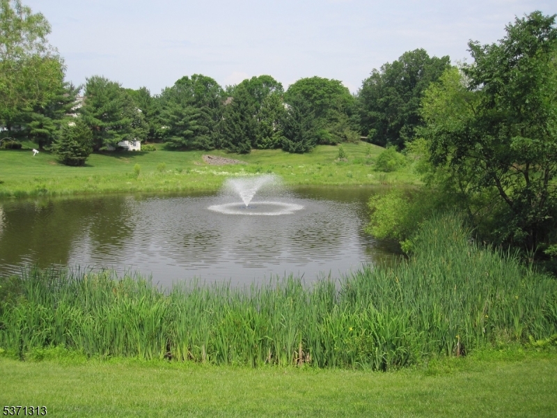 Spring Ridge - Residential