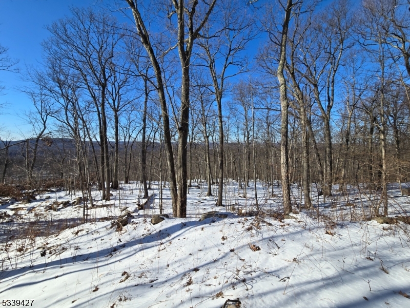 Ringwood Boro, New Jersey 07456, United States, ,Land,Active,626