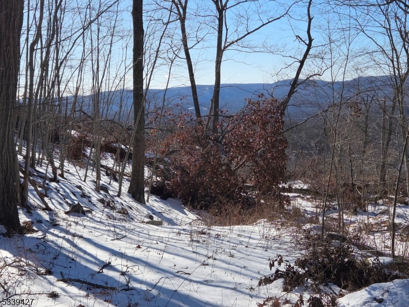 Ringwood Boro, New Jersey 07456, United States, ,Land,Active,626