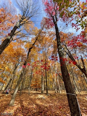 924 MIDDLEVILLE RD, NEWTON, NJ 07860 - Image a8553d2185f450e3fb4e000f65f34352/3078215560