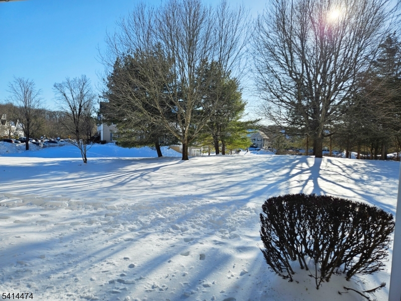 Cedar Brook - Residential