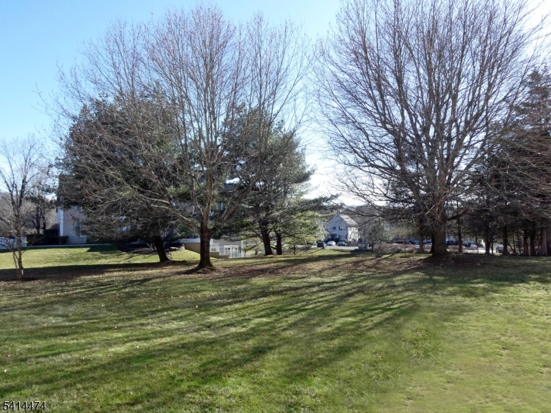 Cedar Brook - Residential