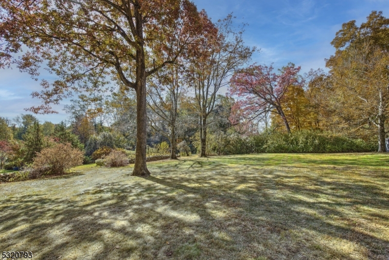 Bernardsville Mountain - Residential