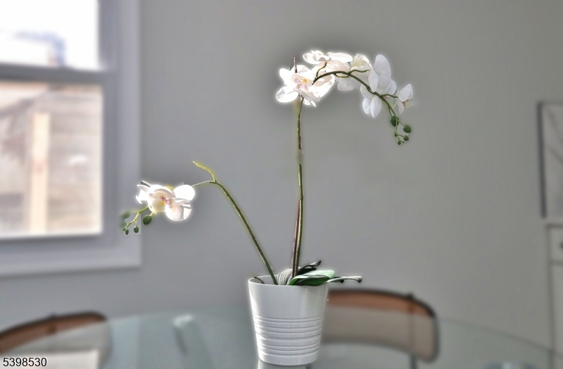 Maplewood Commons - Residential