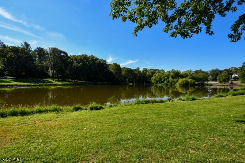 Briant Park - Residential Lease