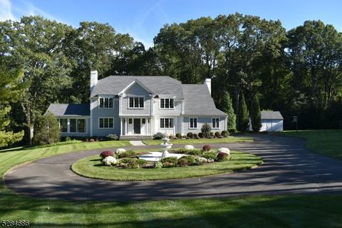 20 Carriage Hill Dr, Mendham Twp., NJ 07931 - #: 3899190