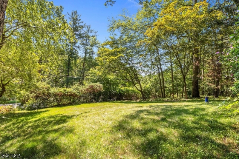 North Road - Residential