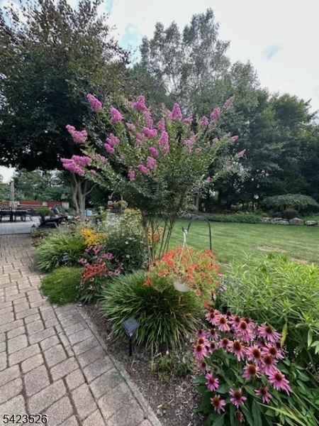 Ironia - Residential