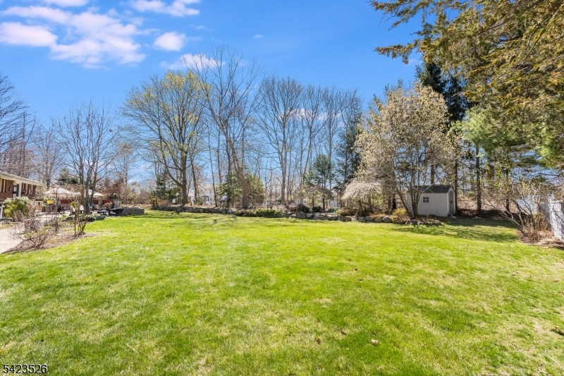 Ironia - Residential