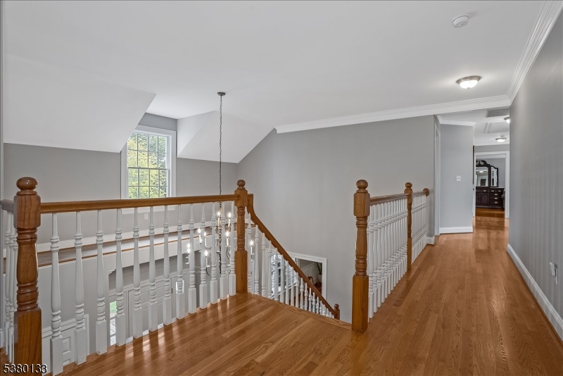 The Pond - Residential