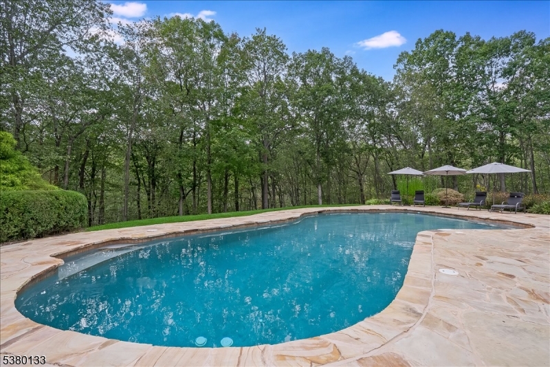 The Pond - Residential