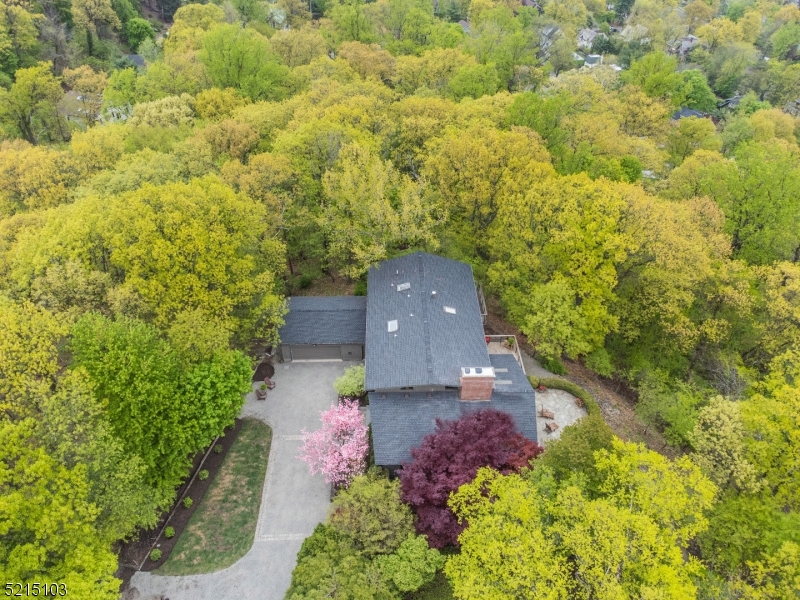 Upper Montclair - Residential