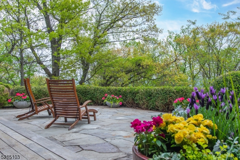 Upper Montclair - Residential