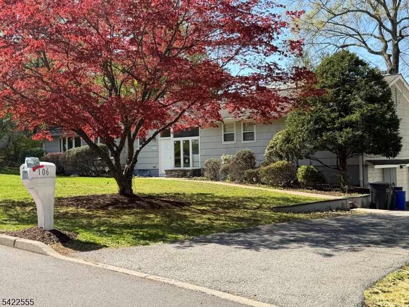 Dogwood - Residential