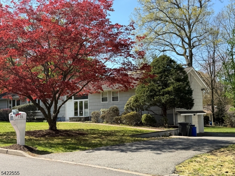 Dogwood - Residential