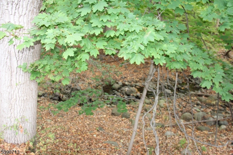 Four Season at Wayne - Residential