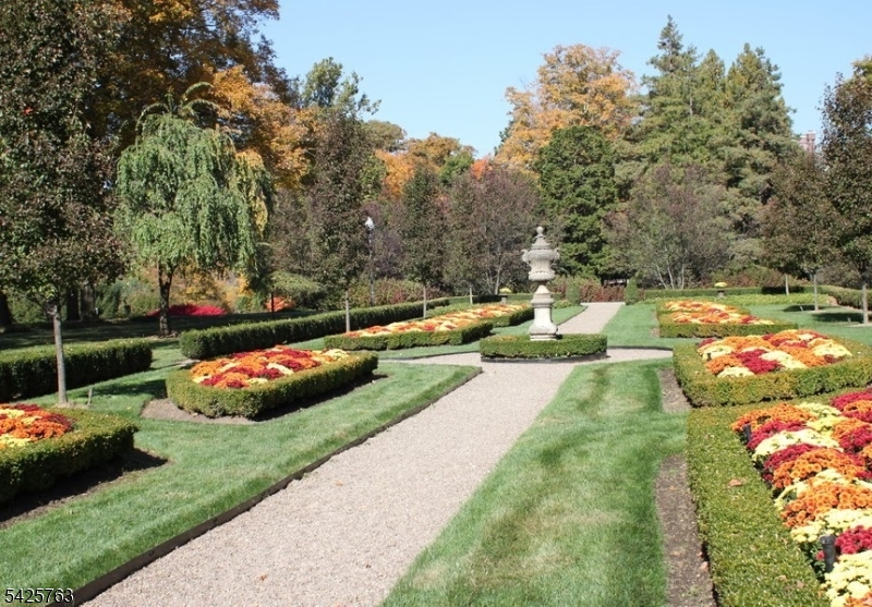 Rio Vista - Residential