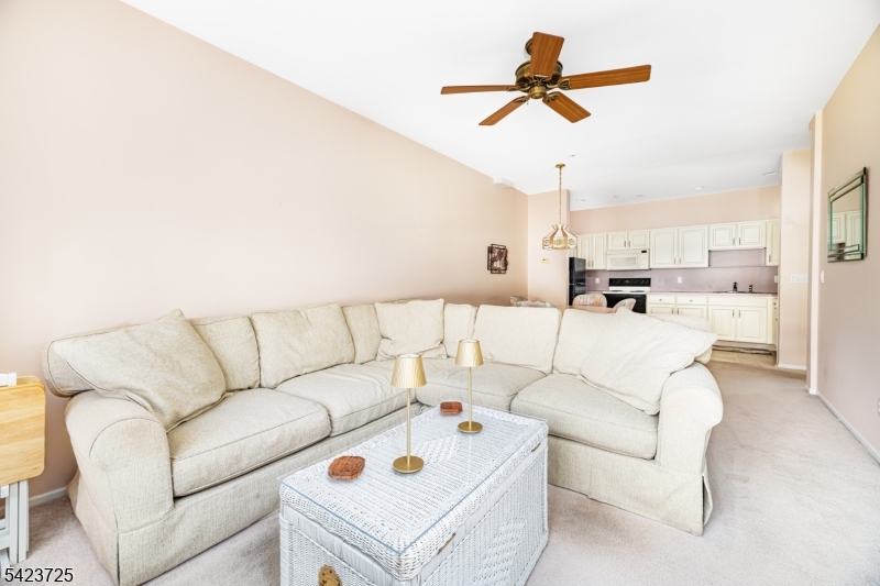 Bald Eagle Commons - Residential