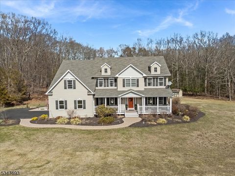 1 Schindler Ct, Fredon Twp., NJ 07860 - MLS#: 3954021