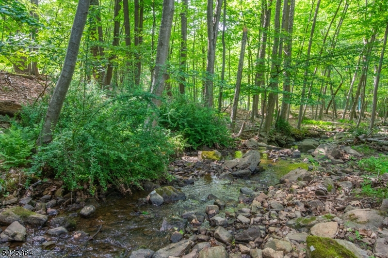 Shongum Lake - Residential