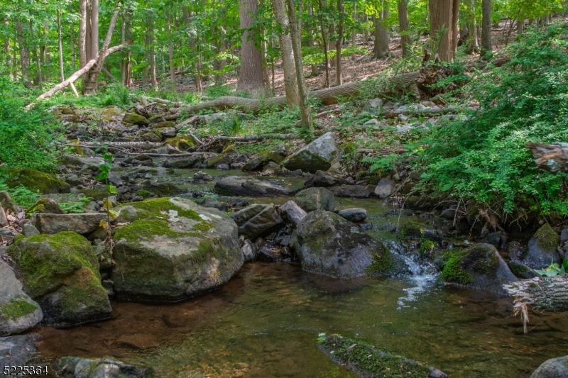Shongum Lake - Residential