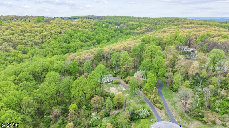 PACESETTER BELLEWOOD - Residential