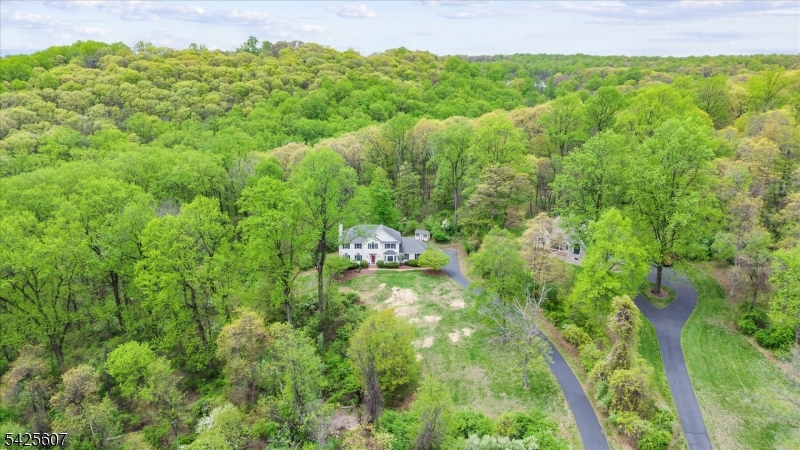 PACESETTER BELLEWOOD - Residential