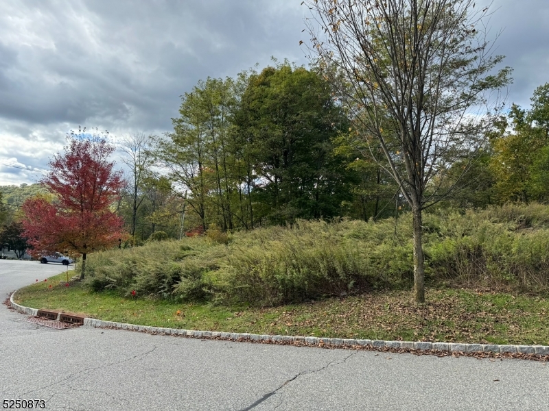 Estates at Valhalla - Land