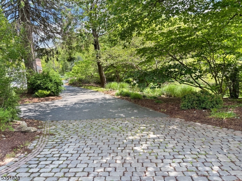 The Pond - Residential