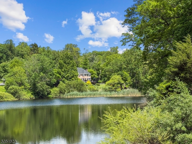 The Pond - Residential