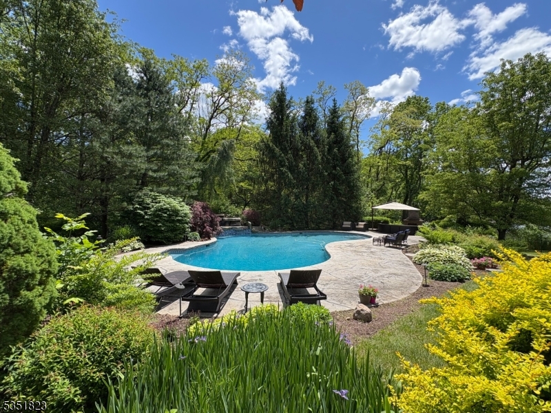 The Pond - Residential